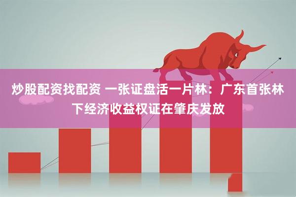 炒股配资找配资 一张证盘活一片林：广东首张林下经济收益权证在肇庆发放