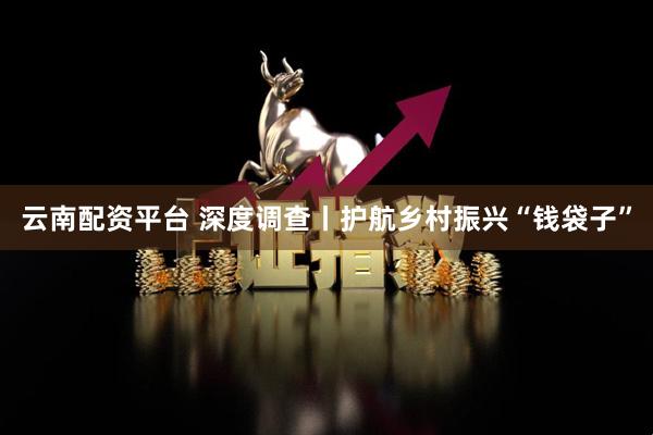 云南配资平台 深度调查丨护航乡村振兴“钱袋子”