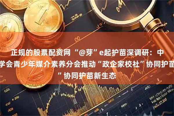 正规的股票配资网 “@芽”e起护苗深调研：中国教育学会青少年媒介素养分会推动“政企家校社”协同护苗新生态