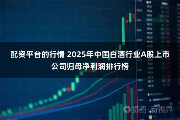 配资平台的行情 2025年中国白酒行业A股上市公司归母净利润排行榜